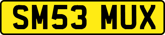 SM53MUX