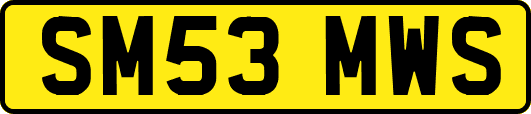 SM53MWS