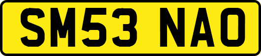 SM53NAO