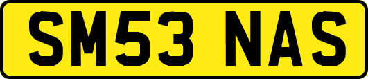 SM53NAS