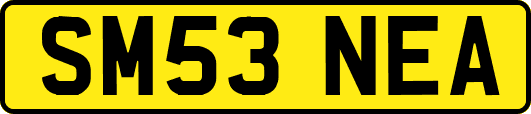 SM53NEA