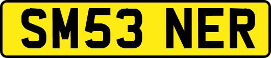SM53NER