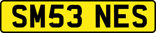 SM53NES