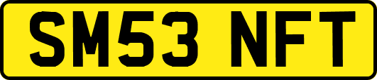 SM53NFT