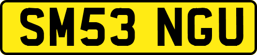 SM53NGU
