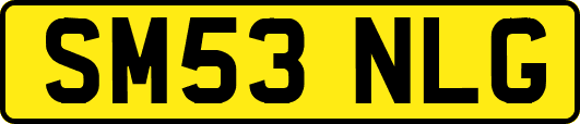SM53NLG