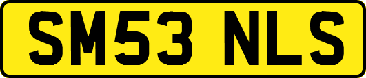 SM53NLS