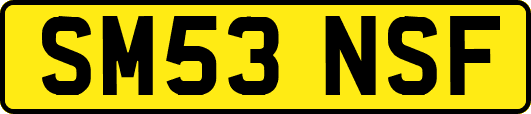 SM53NSF