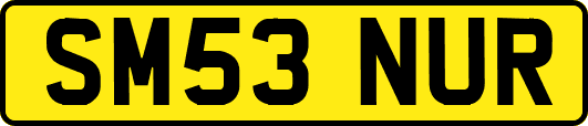 SM53NUR