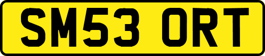 SM53ORT