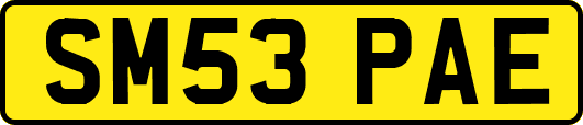 SM53PAE