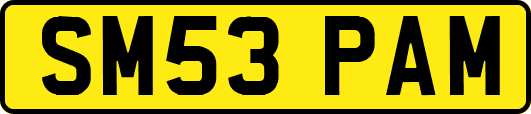 SM53PAM