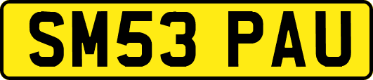 SM53PAU