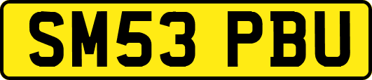 SM53PBU