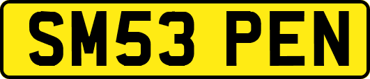 SM53PEN