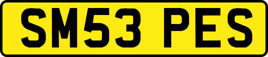 SM53PES