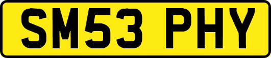 SM53PHY