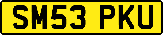 SM53PKU