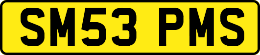 SM53PMS