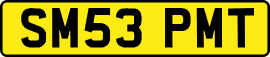 SM53PMT