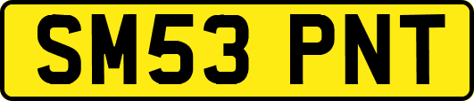 SM53PNT