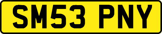 SM53PNY