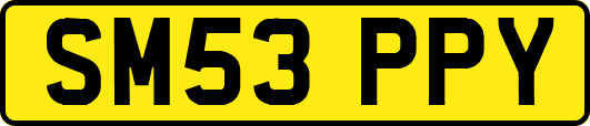 SM53PPY