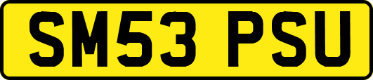 SM53PSU