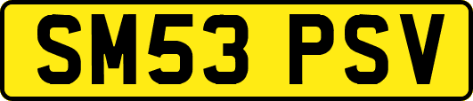 SM53PSV