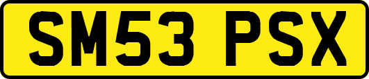 SM53PSX