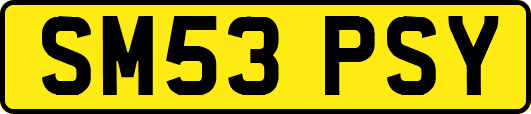 SM53PSY