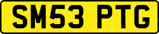SM53PTG