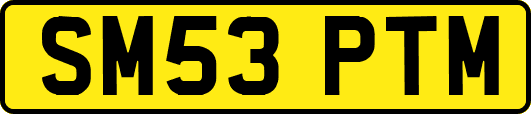 SM53PTM