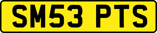 SM53PTS