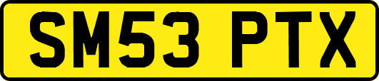 SM53PTX