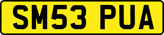SM53PUA