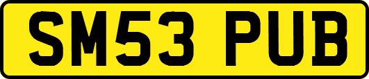 SM53PUB