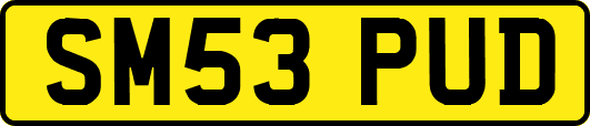 SM53PUD
