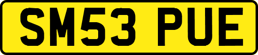 SM53PUE