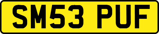 SM53PUF