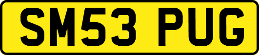 SM53PUG