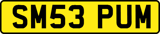 SM53PUM