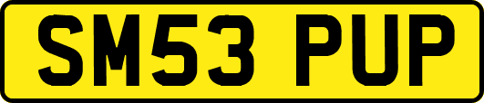 SM53PUP
