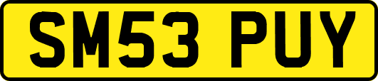 SM53PUY