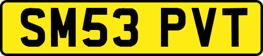 SM53PVT