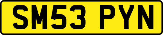 SM53PYN