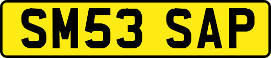 SM53SAP