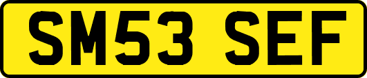 SM53SEF