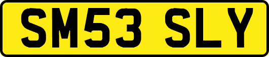 SM53SLY
