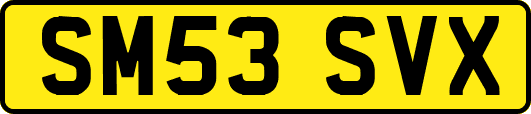 SM53SVX